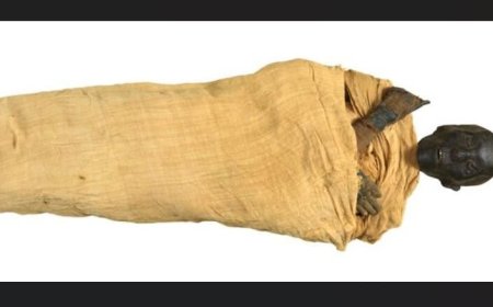 Egypt announces discovery of the lost tomb of King Thutmose II