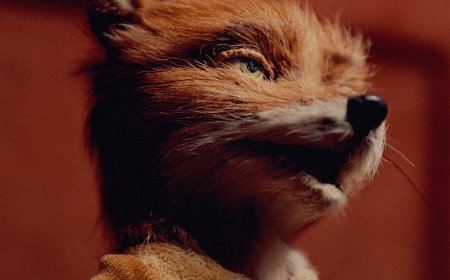 In Wes Anderson’s World, It’s All About the Details