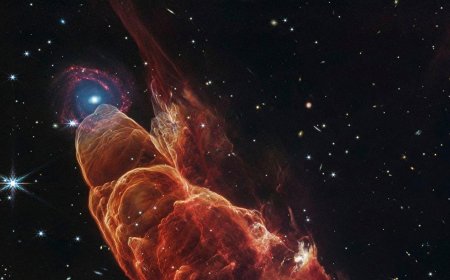 Webb Space Telescope captures a star in the making and a galaxy far, far away
