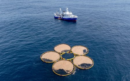 Ocean dumping – or climate solution? An industry bets on the ocean to capture carbon