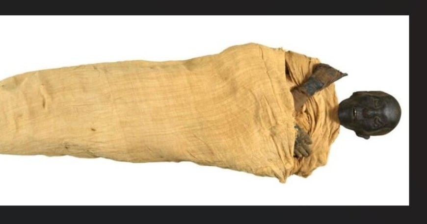 Egypt announces discovery of the lost tomb of King Thutmose II